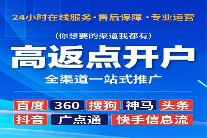 竞价推广公司案例：实战技巧与策略